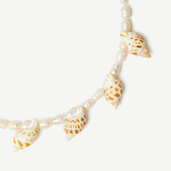 SHELL - Imagen 3