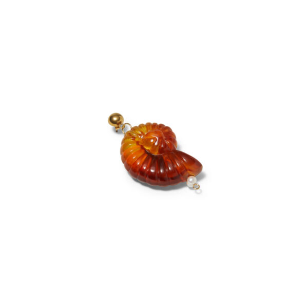 CAMEL SHELL - Imagen 2